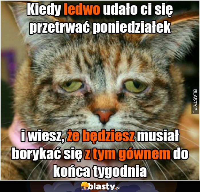 Kiedy ledwo udało ci się przetrwałeś poniedziałek