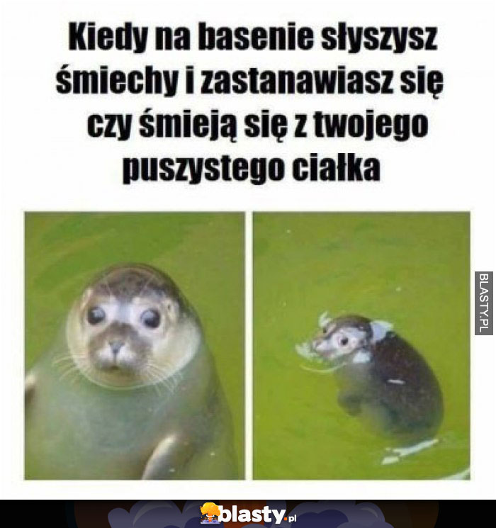 Kiedy na basenie słyszysz śmiechy