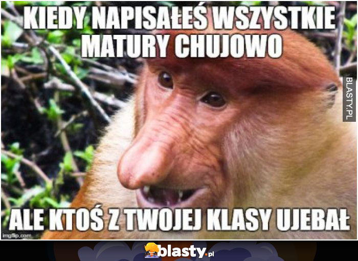 Kiedy napisałeś wszystkie matury chujowo