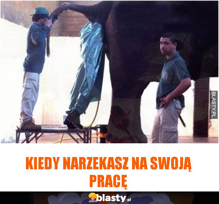 Kiedy narzekasz na swoją pracę