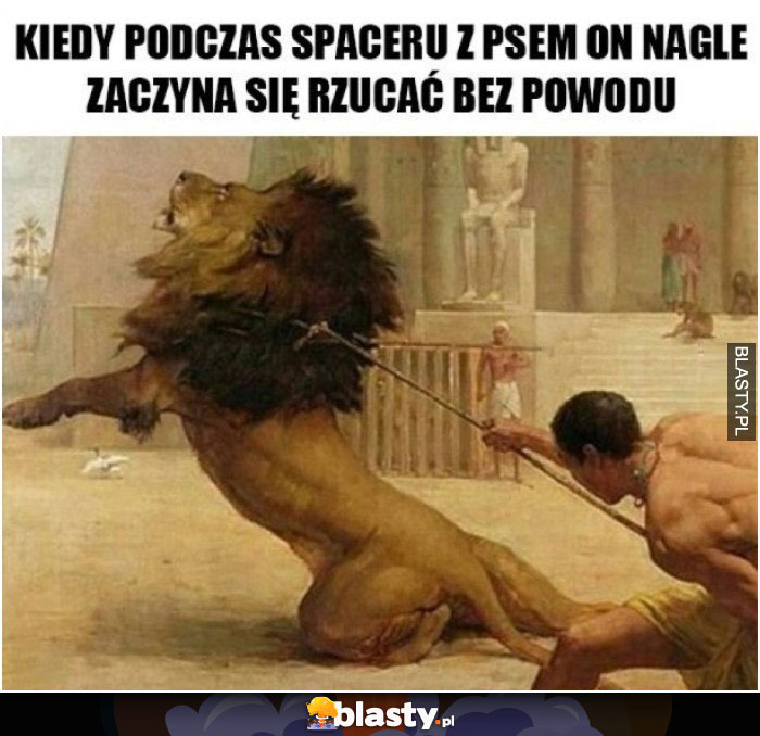 Kiedy podczas spaceru z psem