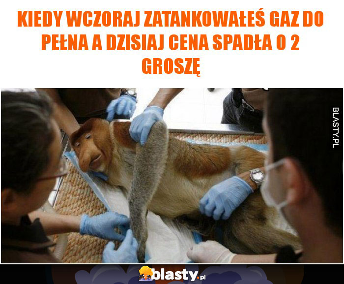 Kiedy wczoraj zatankowałeś gaz do pełna a dzisiaj