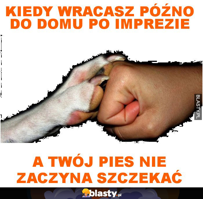 Kiedy wracasz późno do domu po imprezie