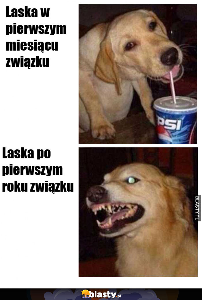 Laska w pierwszym miesiącu związku