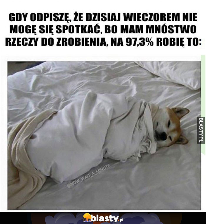 Mam mnóstwo rzeczy do zrobienia