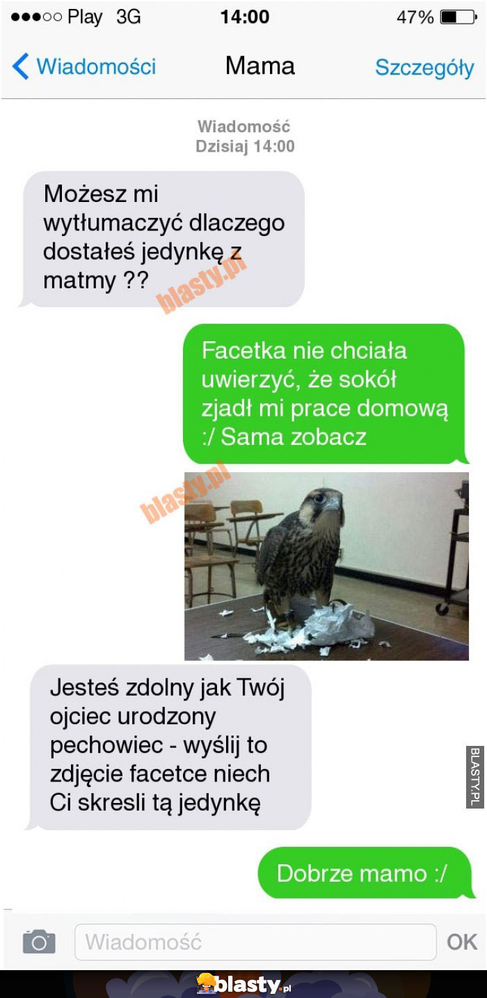 Mamo dostałem Pałe z matmy bo sokół zjadł mi prace domową - Sama zobacz