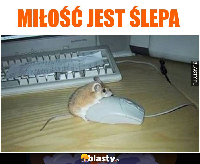 Miłość jest ślepa