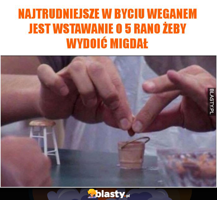 Najtrudniejsze w byciu weganem jest wstawanie o 5 rano żeby wydoić migdał