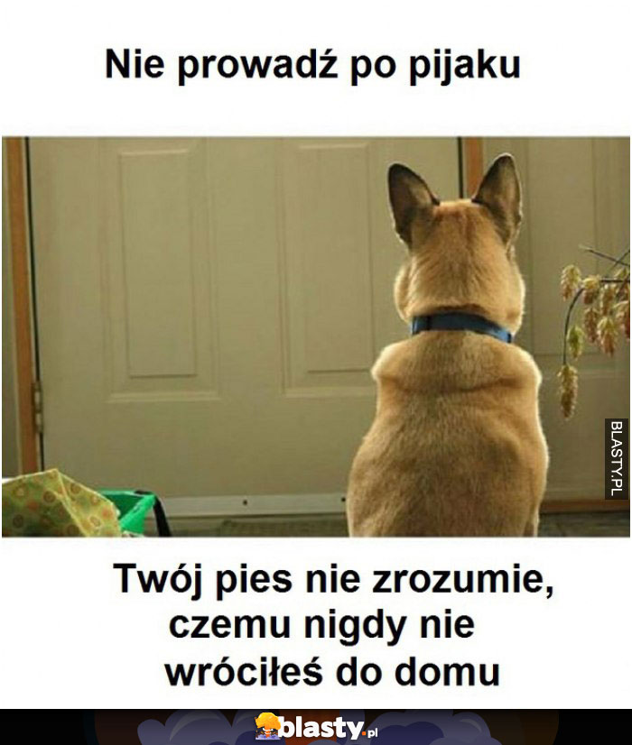 Nie jedź po pijaku