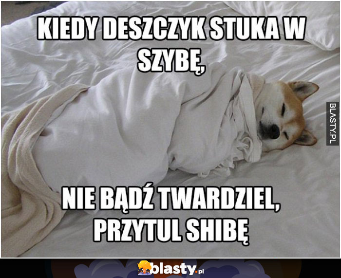 Pieseł