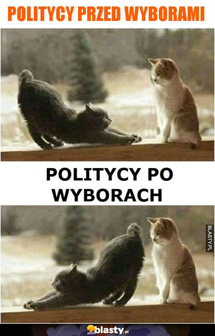 Politycy przed wyborami vs po wyborach