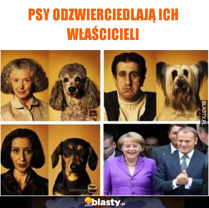 Psy odzwierciedlają ich właścicieli