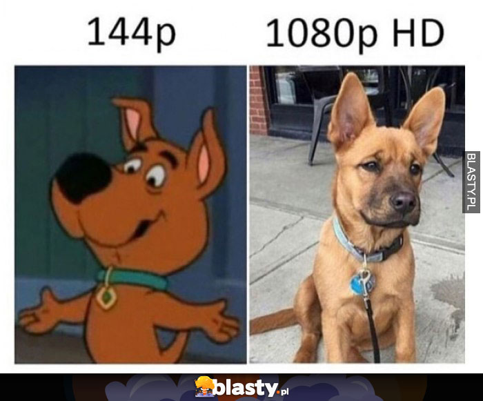 Scoobydoo