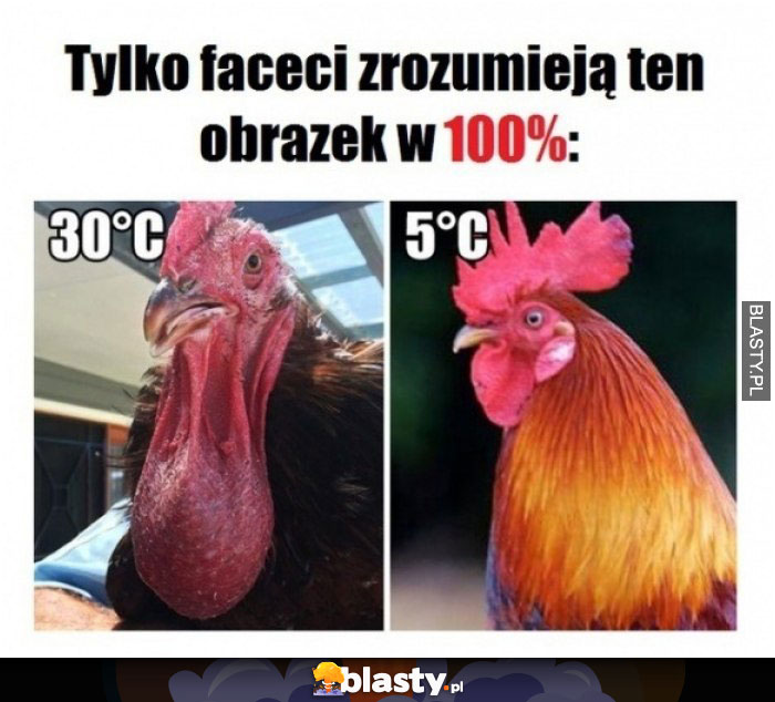 Tylko faceci zrozumieją ten obrazek na 100%