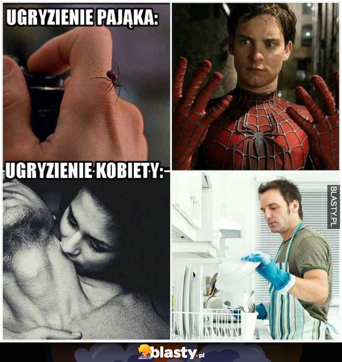 Ugryzienie pająka VS ugryzienie kobiety