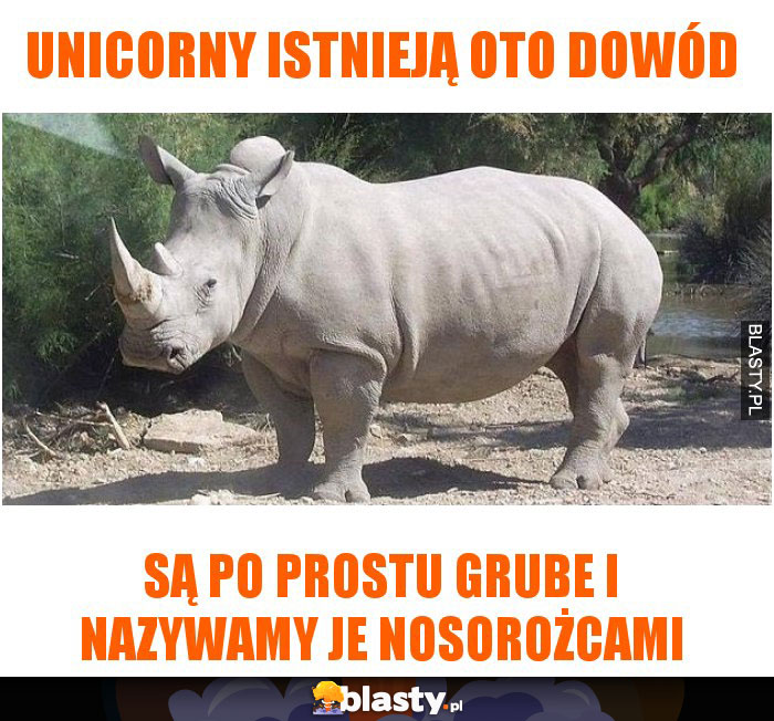 Unicorny istnieją