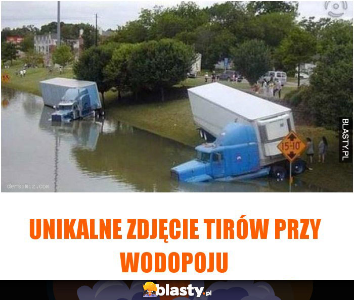 Unikalne zdjęcie tirów przy wodopoju