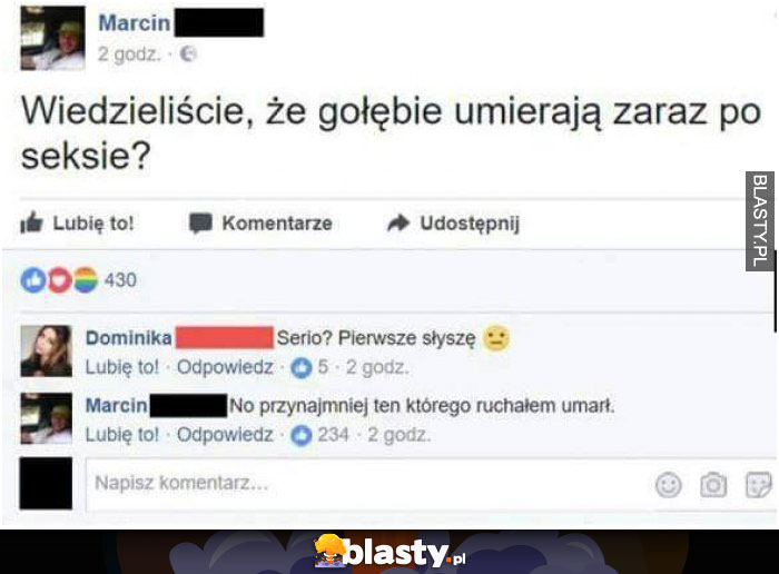 Wiedzieliście, że gołębie umierają zaraz po sexie ?