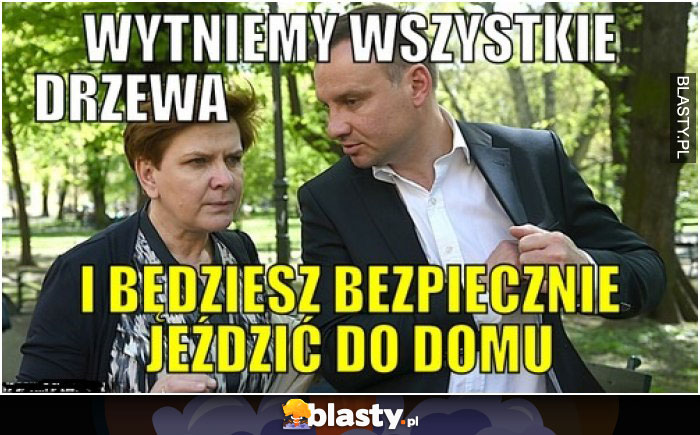 Wytnijmy drzewa