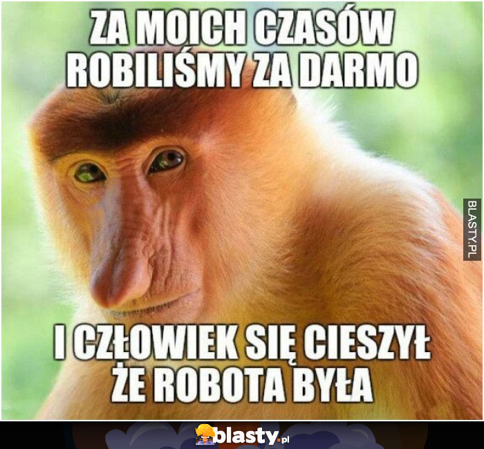 Za moich czasów robiliśmy za darmo i człowiek się cieszył, ze robota była