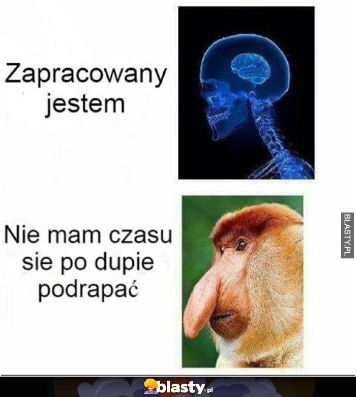 Zapracowany jestem