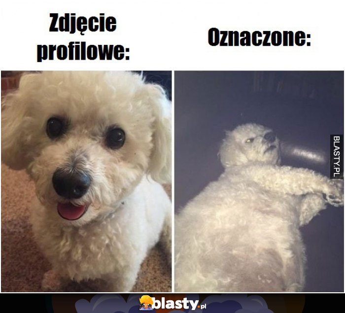 Zdjęcie profilowe vs oznaczone