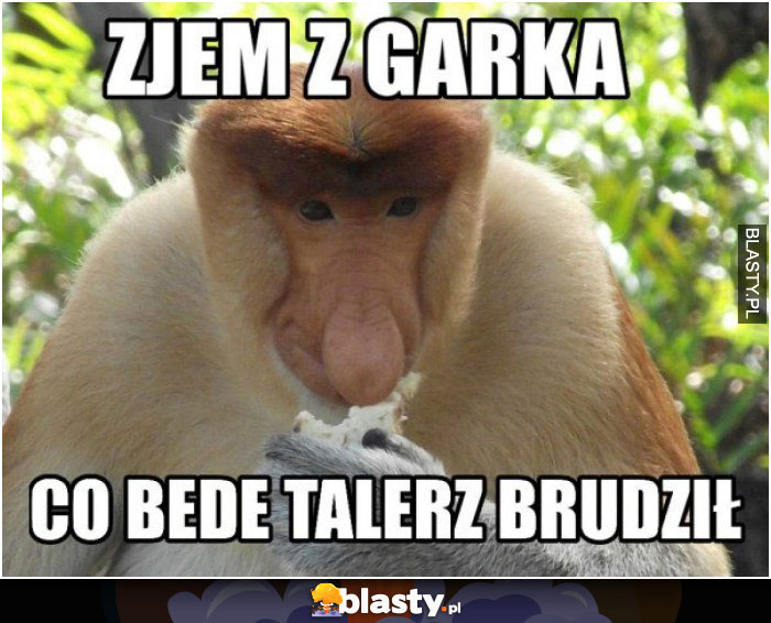 Zjem z garka