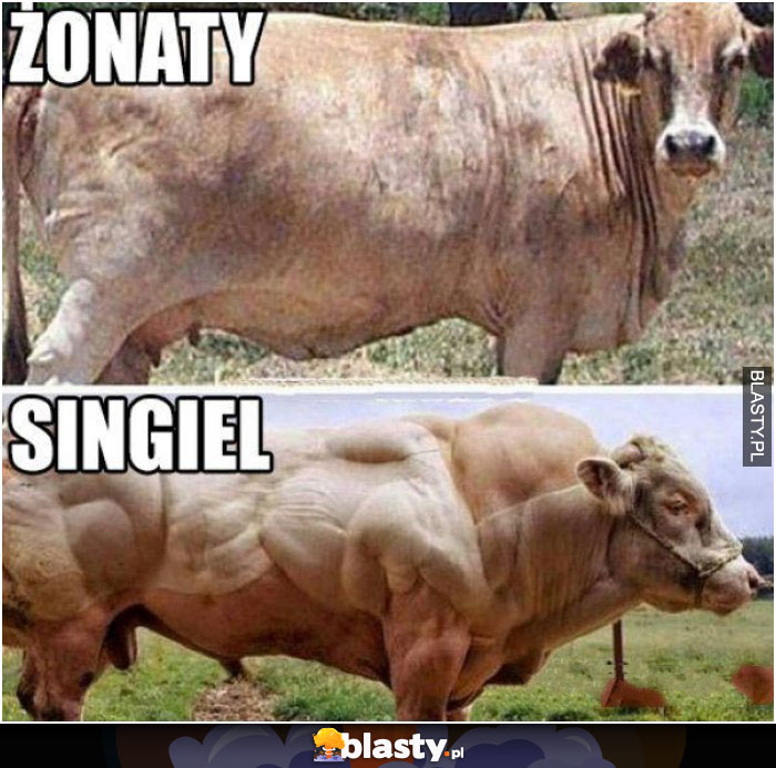 Żonaty vs singiel