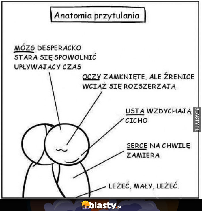 Anatomia przytulania