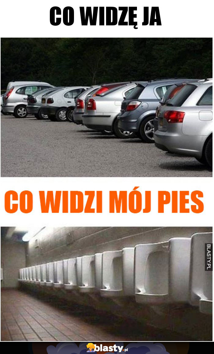 Co widzę ja