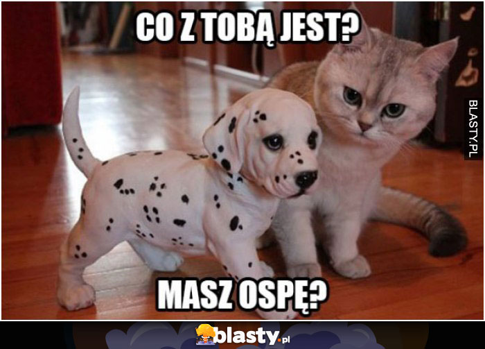 Co z tobą jest?