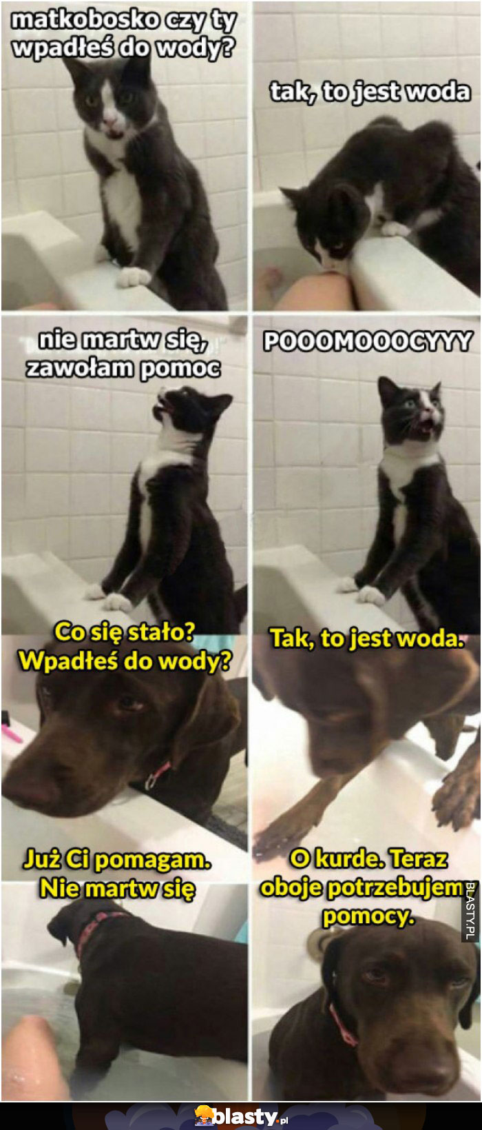 Czy ty wpadłeś do wody ?