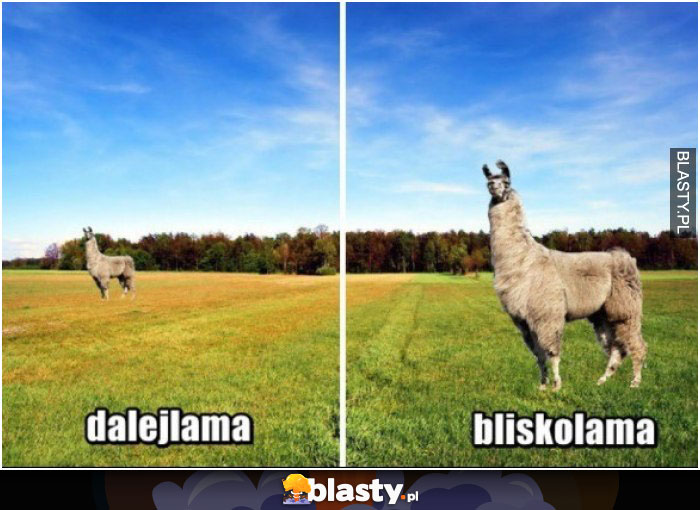 Dalejlama vs bliskolama