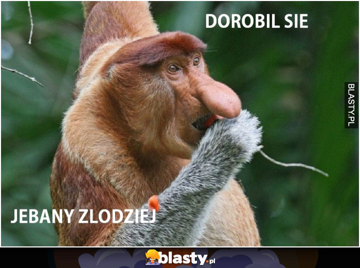 Dorobił się