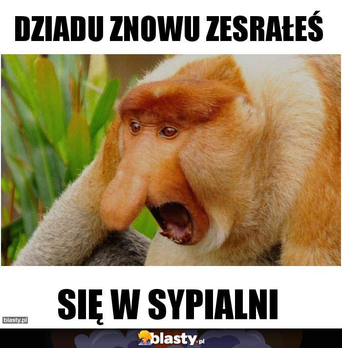 Dziadu znowu zesrałeś