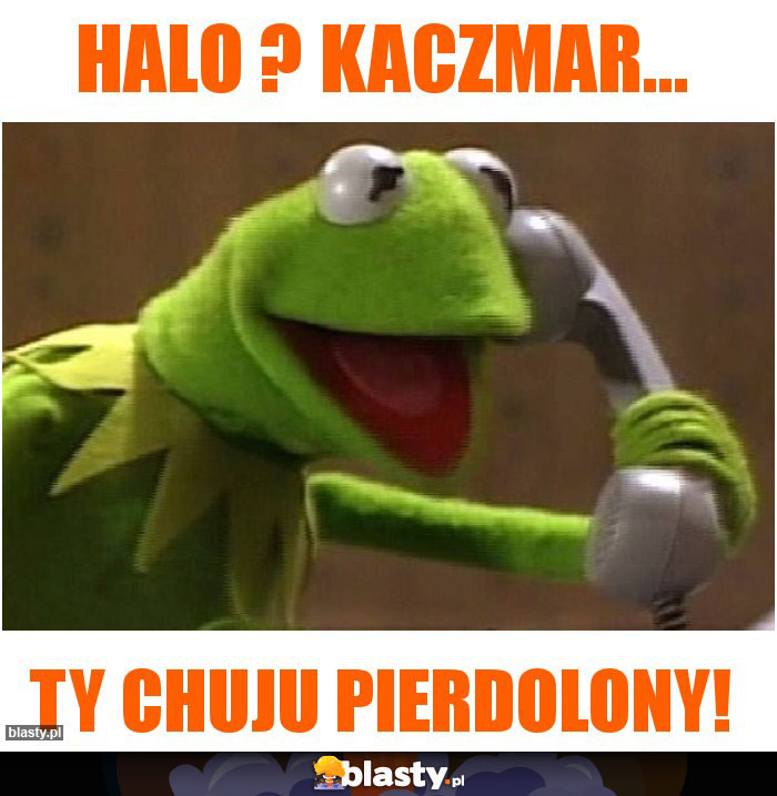 Halo ? Kaczmar...
