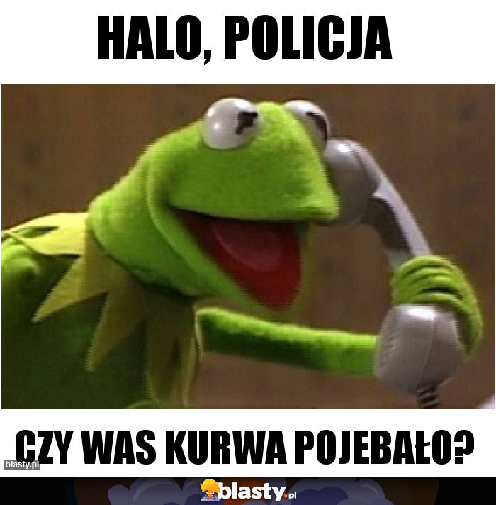 Halo, policja
