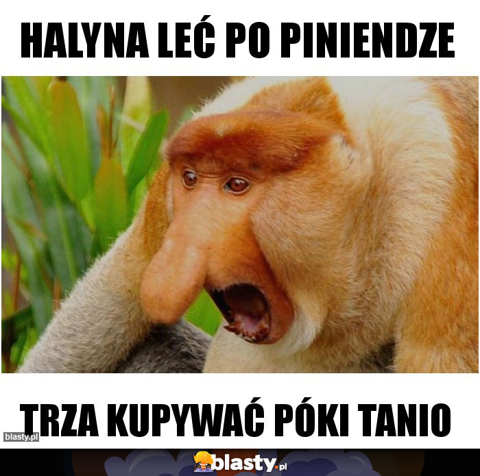 Halyna leć po piniendze