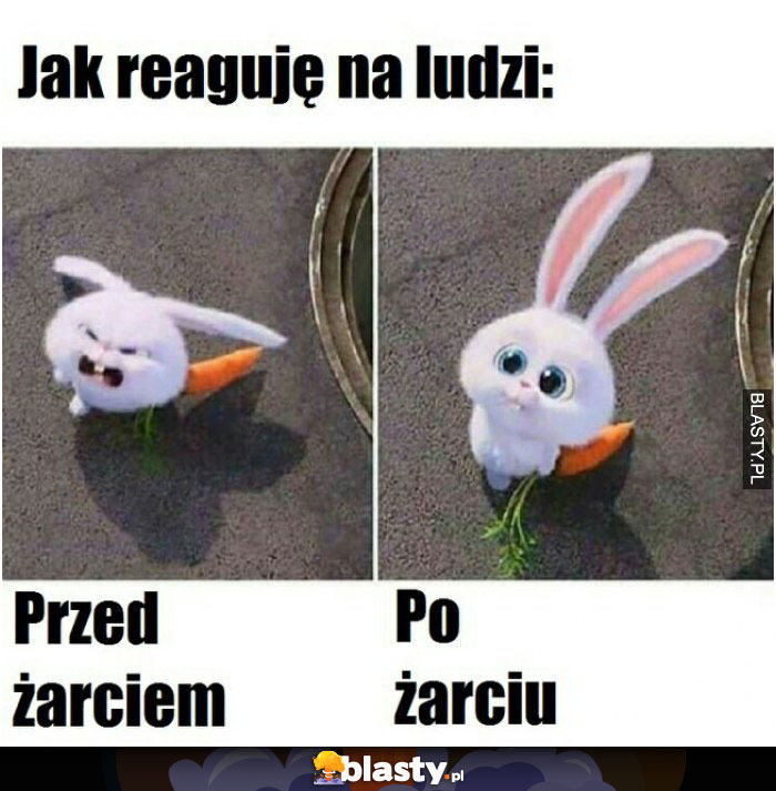 Jak reaguje na ludzi