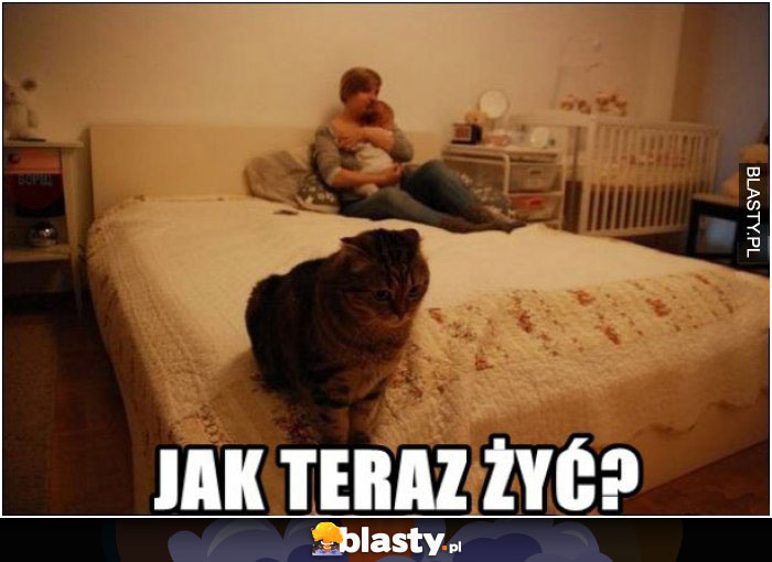 Jak teraz żyć