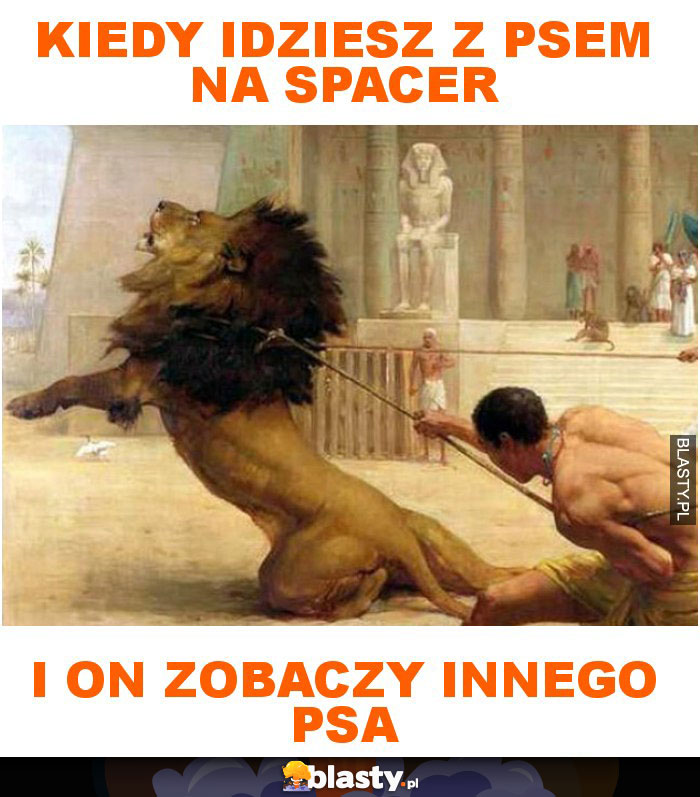 Kiedy idziesz z psem na spacer