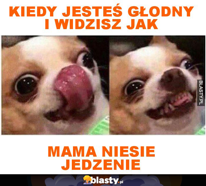 Kiedy jesteś głodny i widzisz jak mama niesie jedzenie