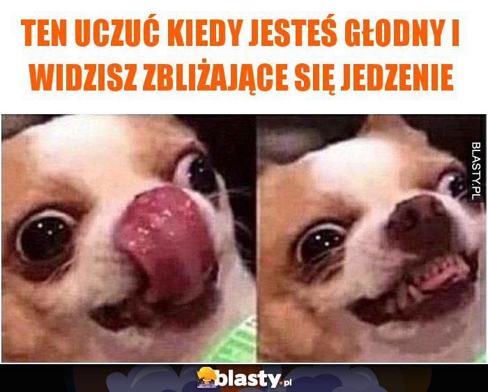 Kiedy jesteś głodny i widzisz zbliżające się jedzenie