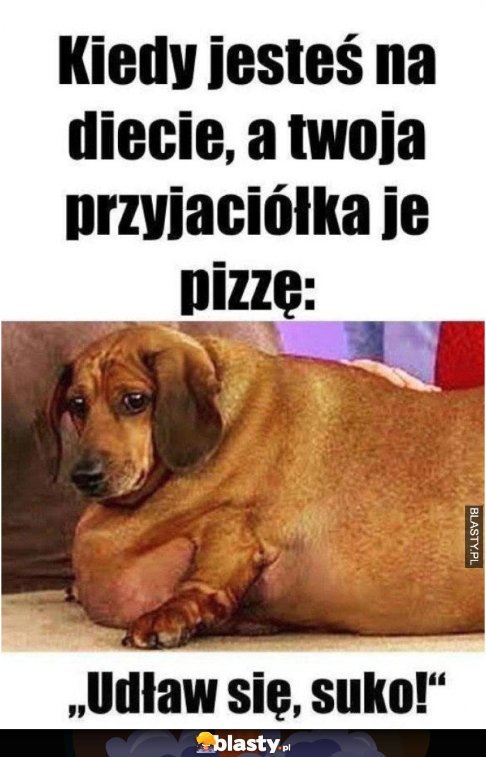 Kiedy jesteś na diecie