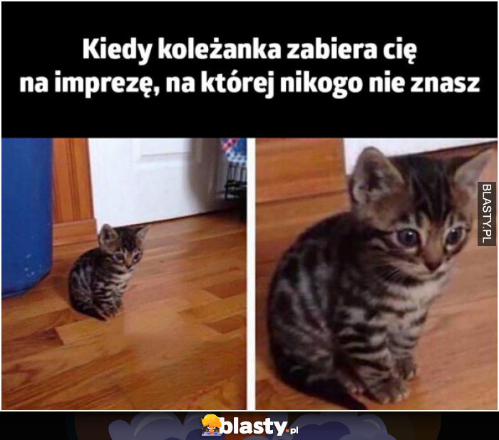 Kiedy koleżanka zabiera Cię na imprezę