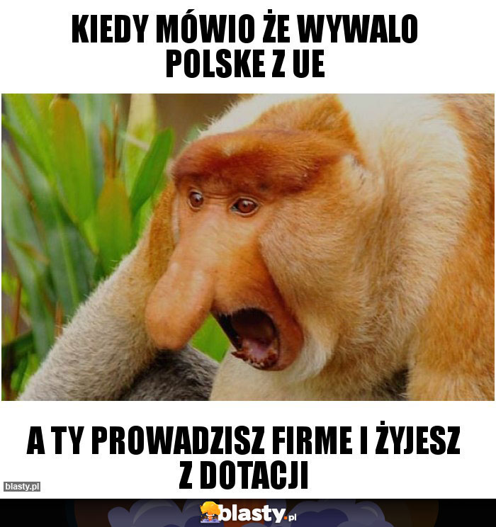 Kiedy mówio że wywalo polske z ue