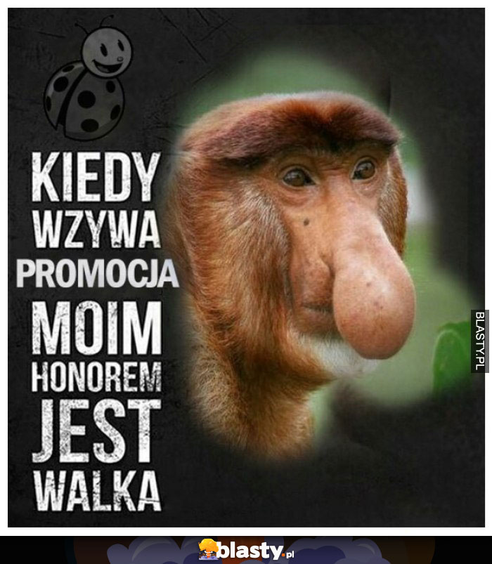 Kiedy wzywa promocja moim honorem jest walka