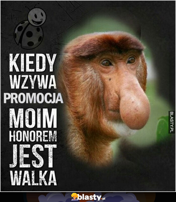 Kiedy wzywa promocja