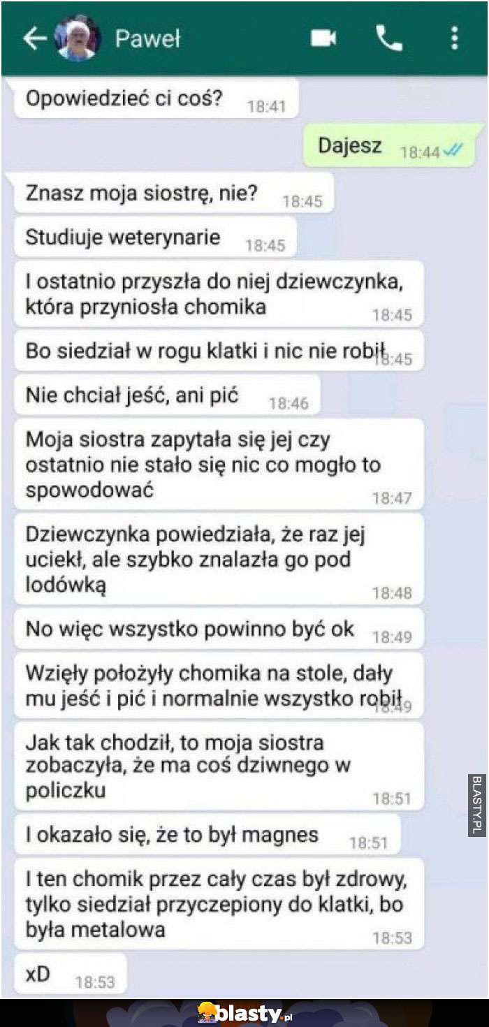 Krótka historia o chomiku