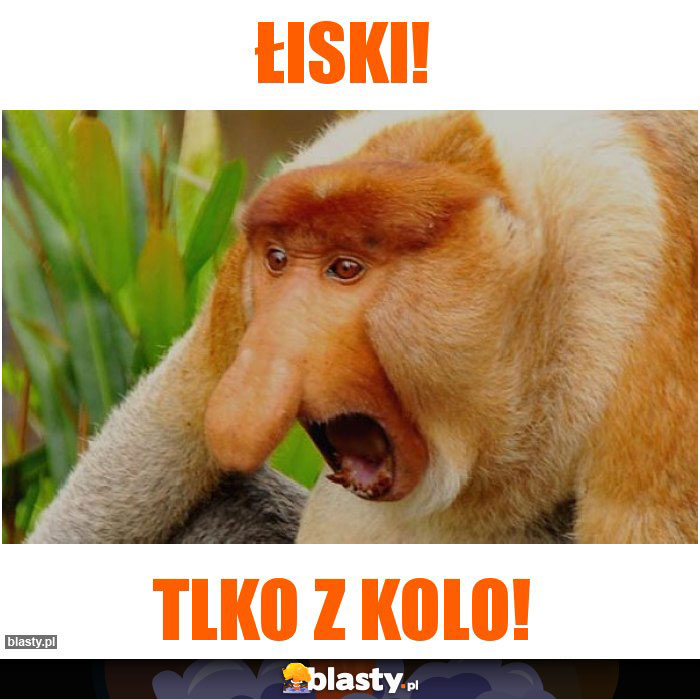 Łiski!